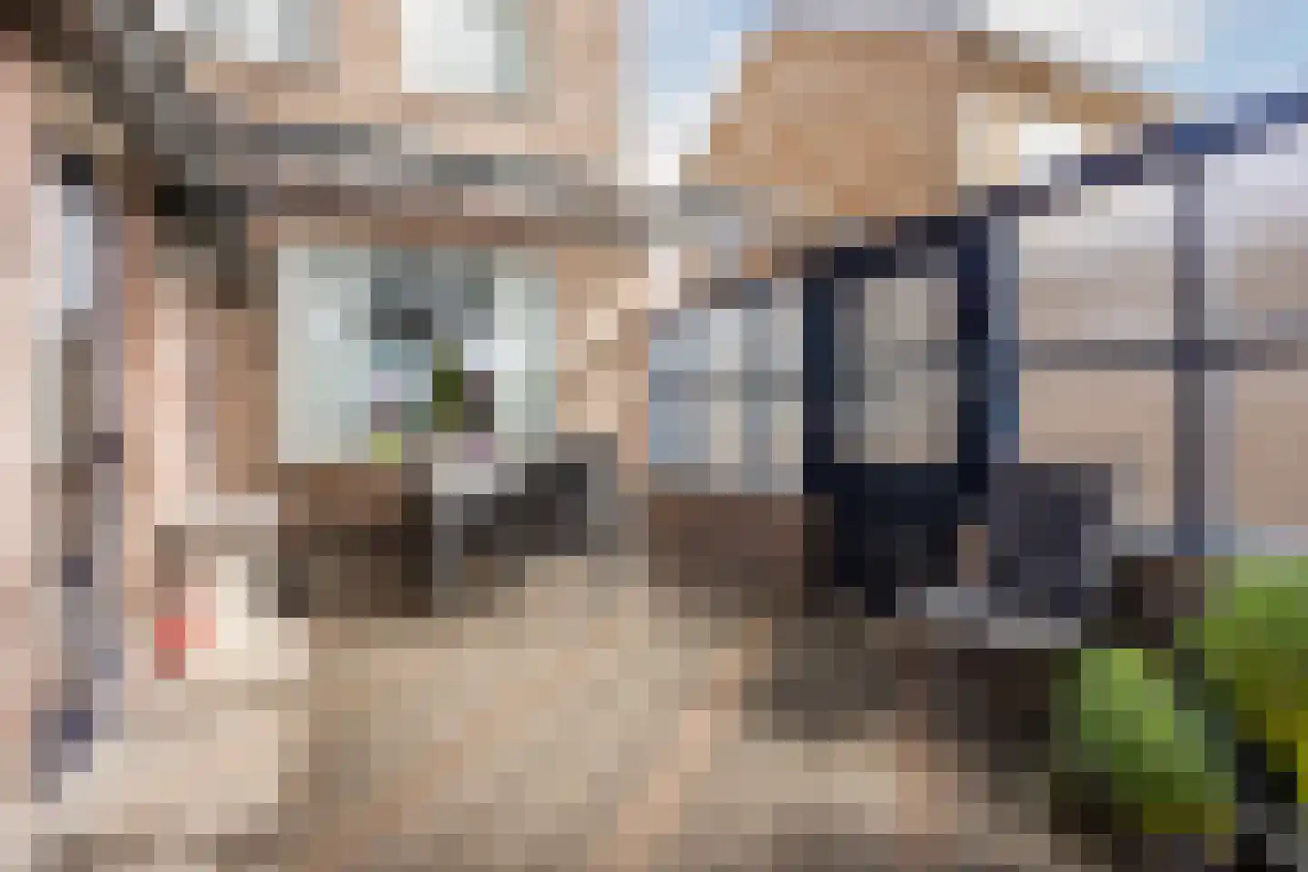 Brouwersstraat 6 Heeswijk-Dinther thumbnail 28