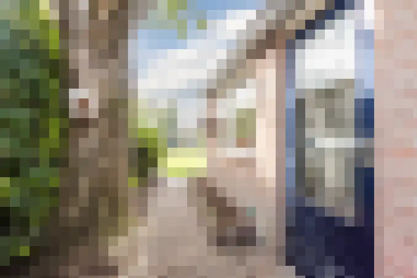 Brouwersstraat 6 Heeswijk-Dinther thumbnail 30
