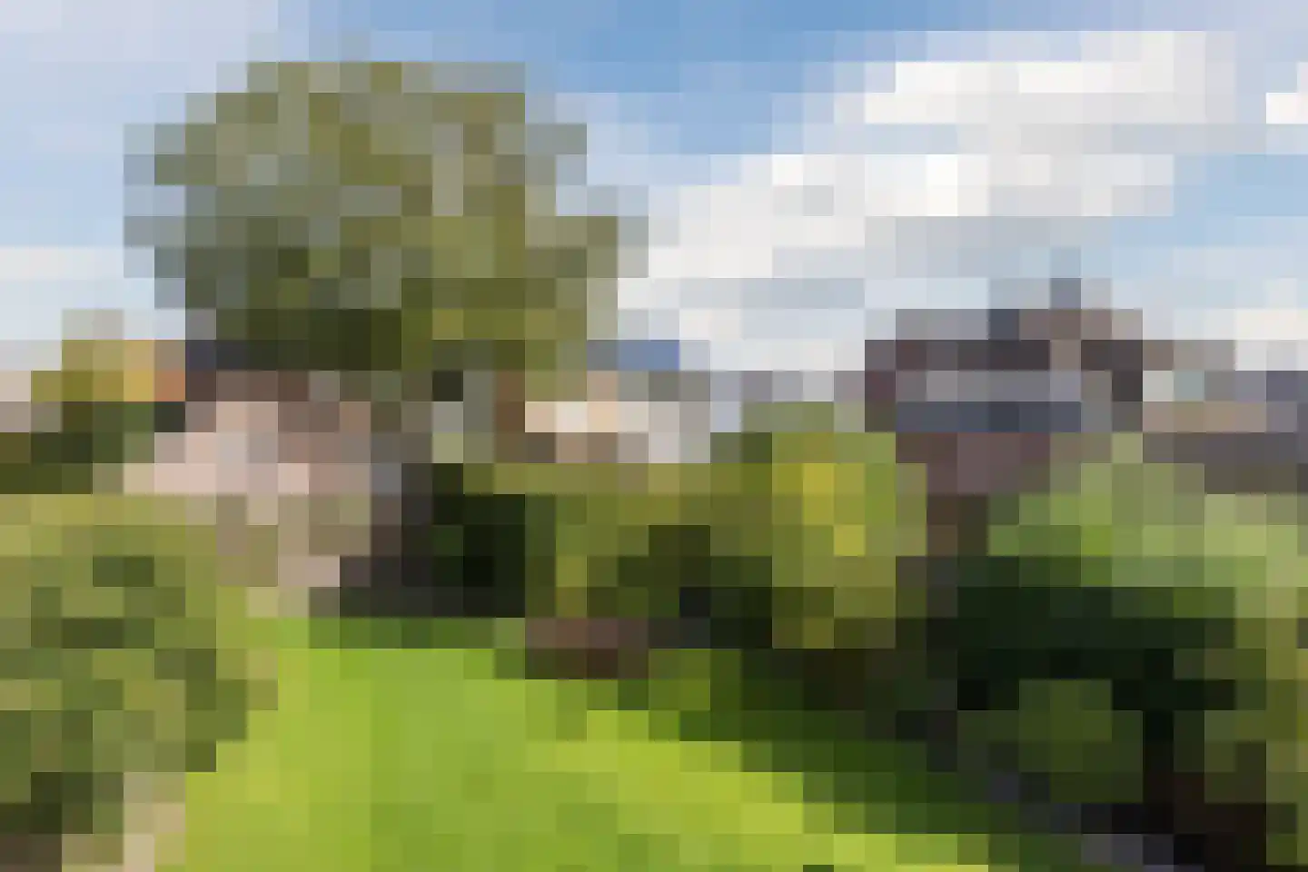 Brouwersstraat 6 Heeswijk-Dinther thumbnail 36