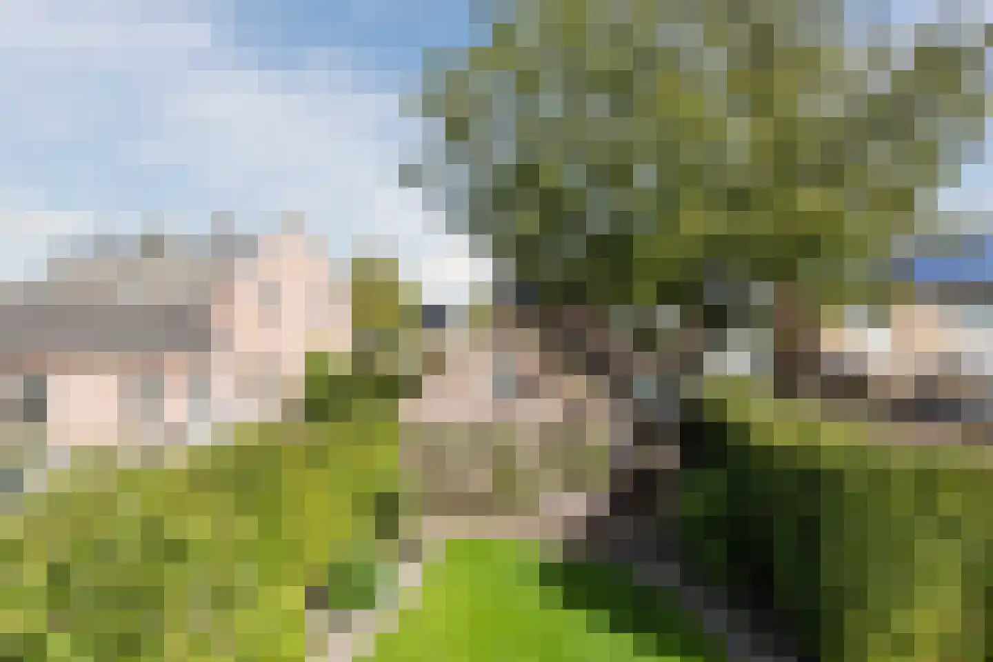 Brouwersstraat 6 Heeswijk-Dinther thumbnail 38
