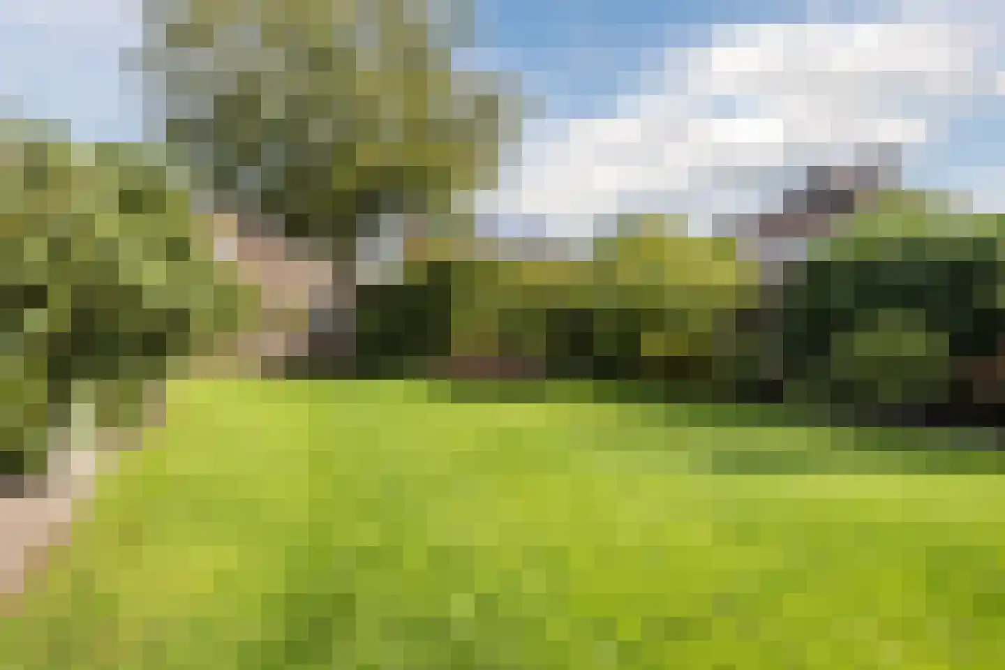 Brouwersstraat 6 Heeswijk-Dinther thumbnail 4