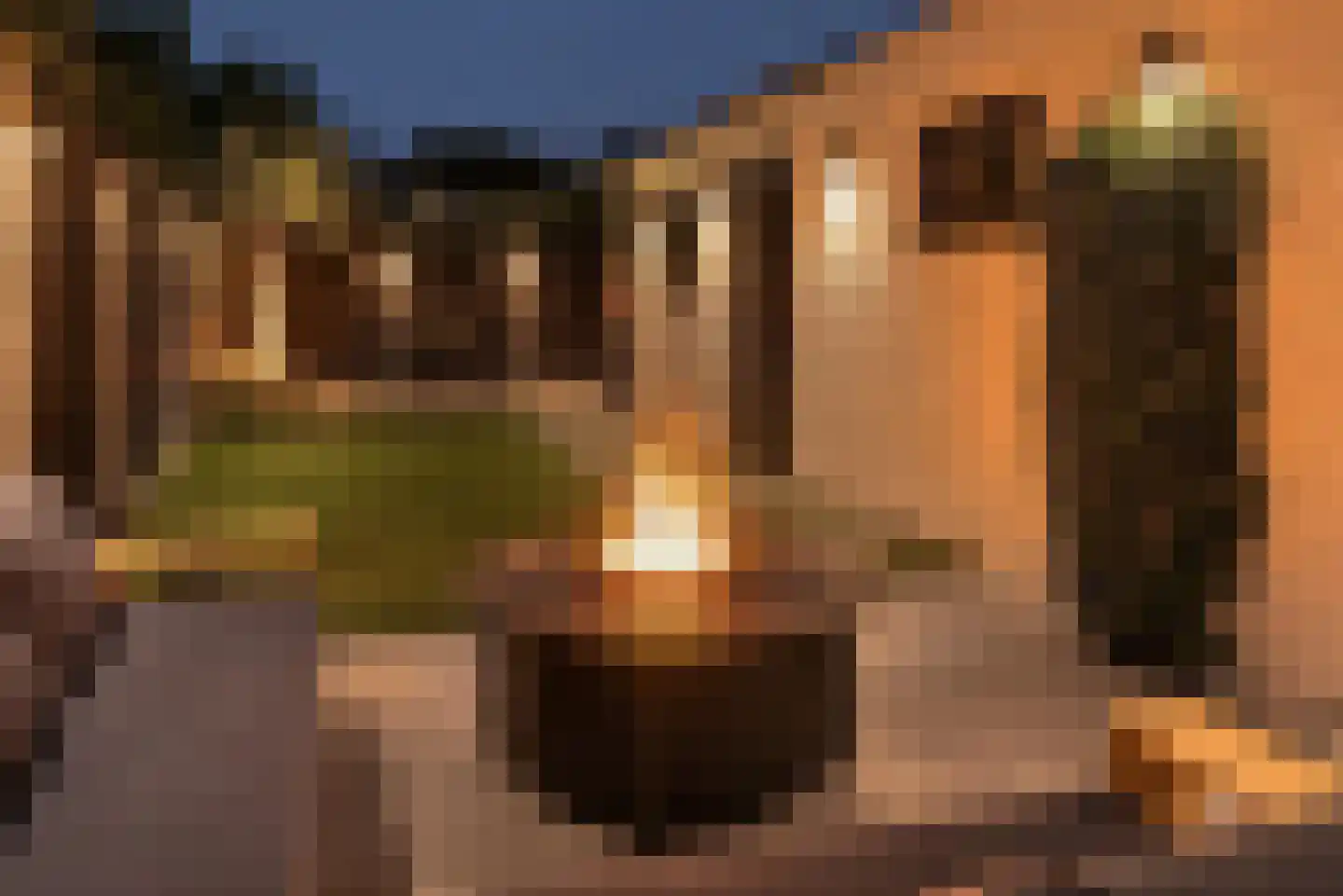 Brouwersstraat 68 Haarlem thumbnail 26