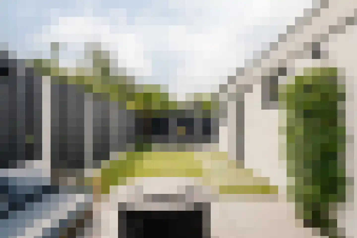 Brouwersstraat 68 Haarlem thumbnail 28