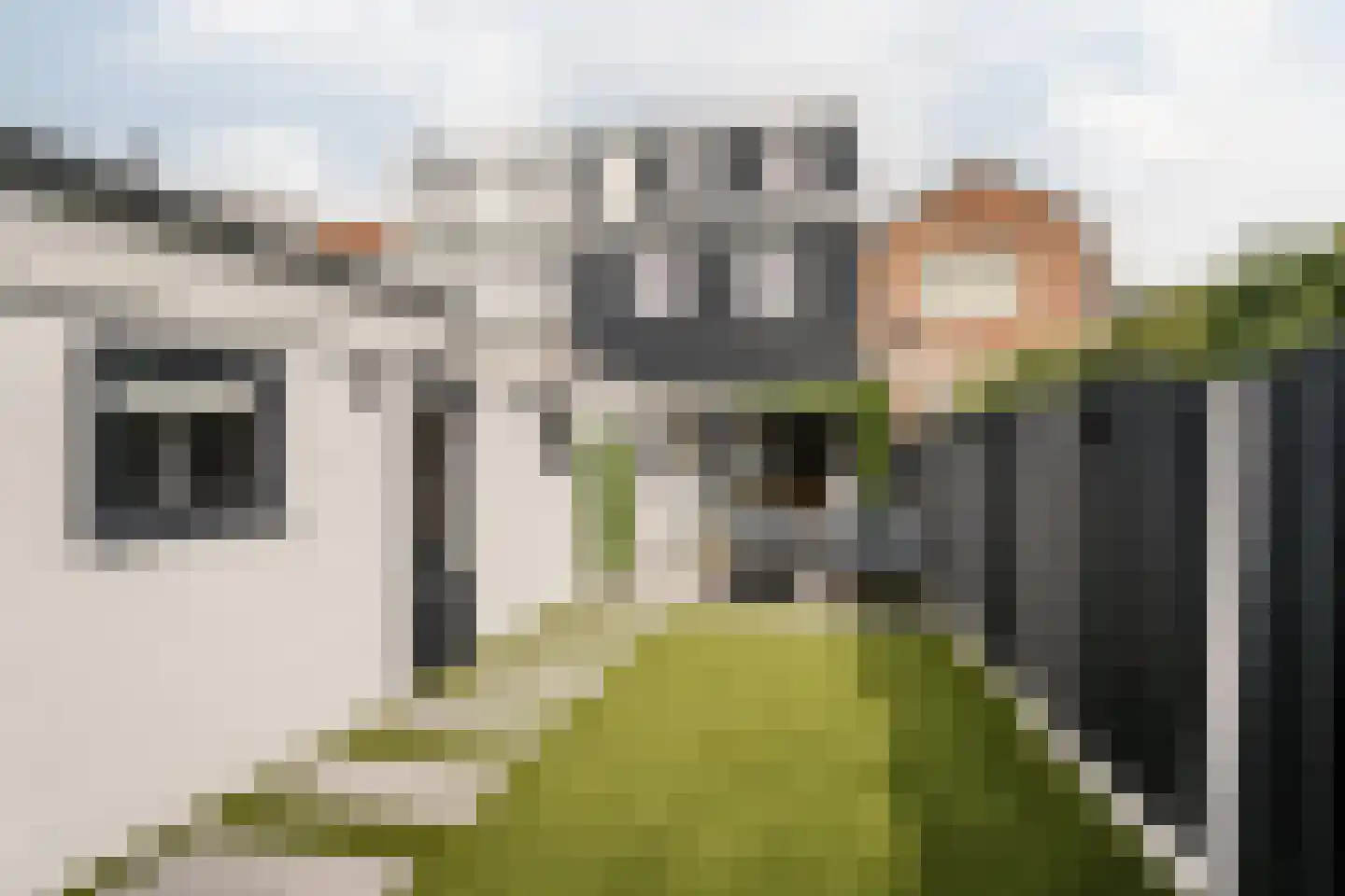 Brouwersstraat 68 Haarlem thumbnail 29
