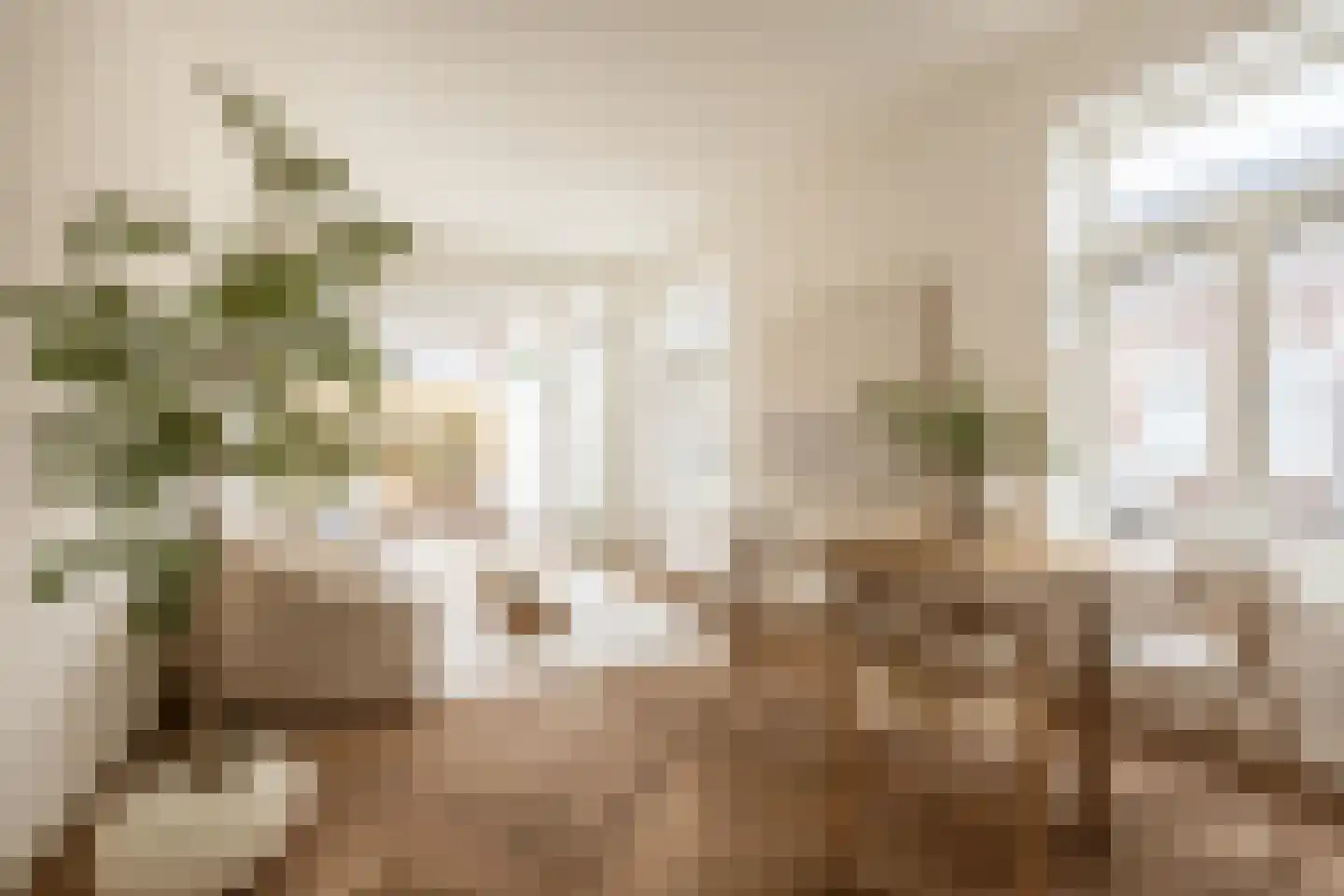 Brouwersstraat 92 Haarlem thumbnail 12