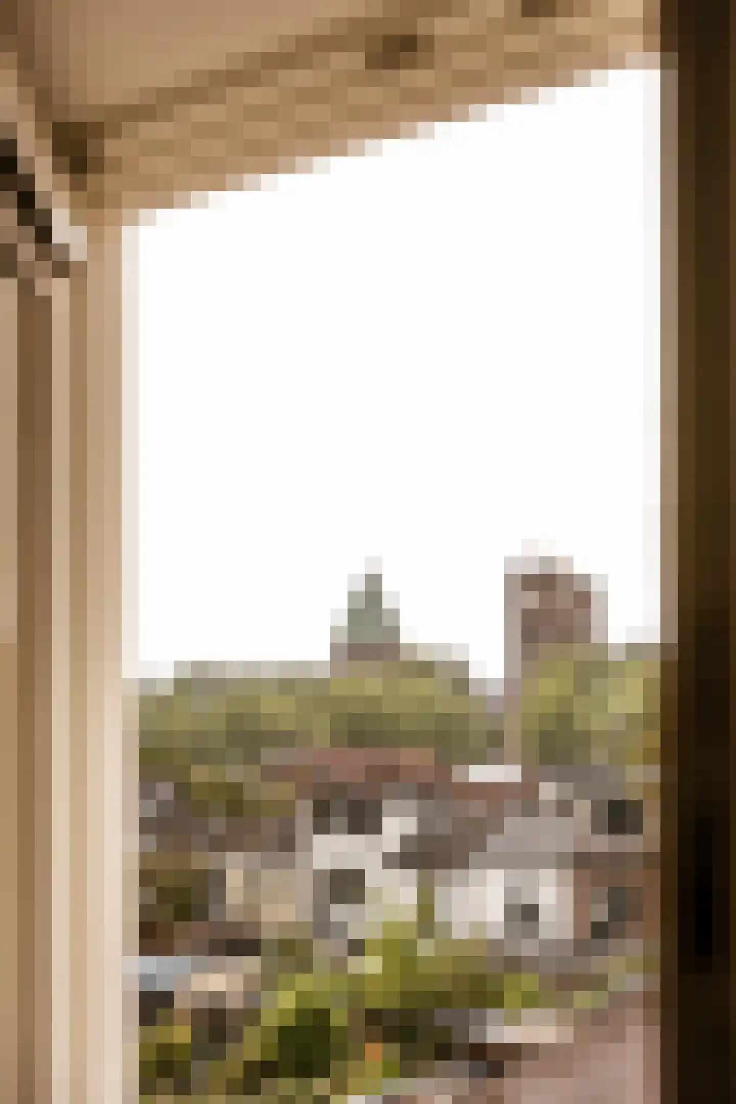 Brouwersstraat 92 Haarlem thumbnail 34