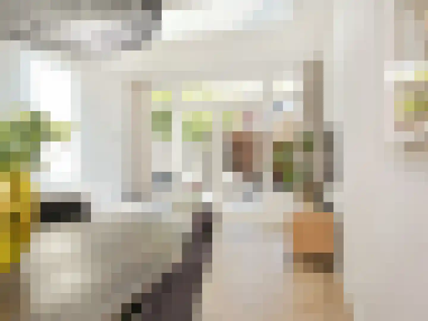 Brouwersstraat 93 Haarlem thumbnail 8