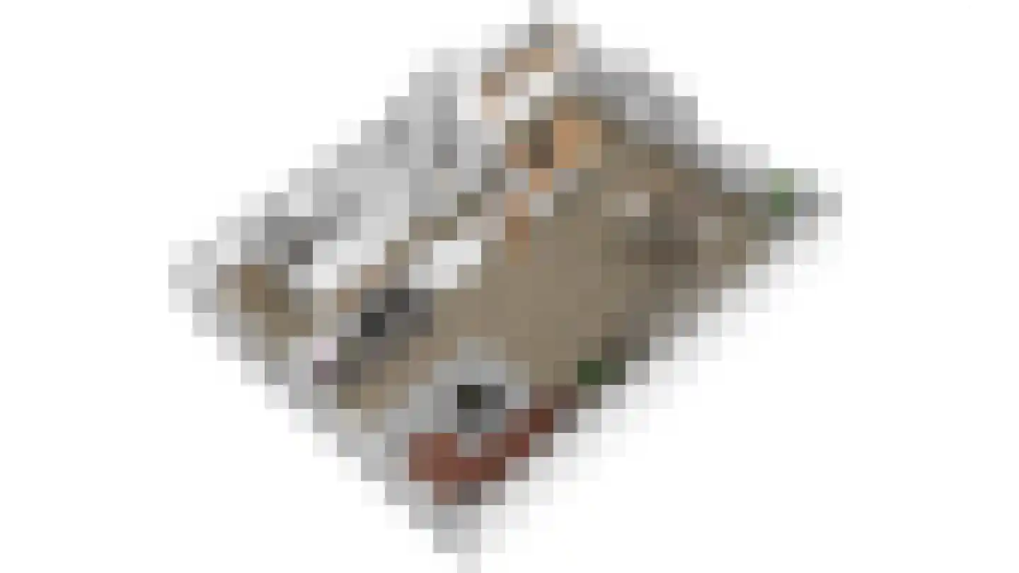 Brouwersstrjitte 18 Burgum thumbnail 15