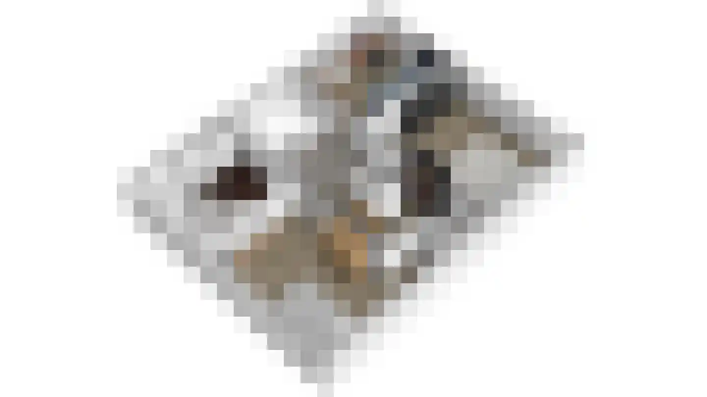 Brouwersstrjitte 18 Burgum thumbnail 31