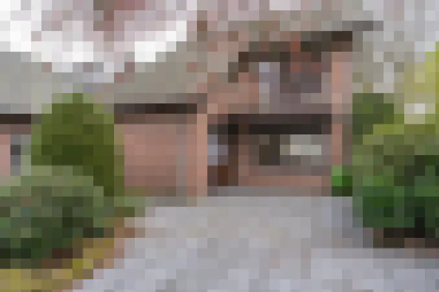 Brouwerstraat 1 Sint-Michielsgestel thumbnail 22
