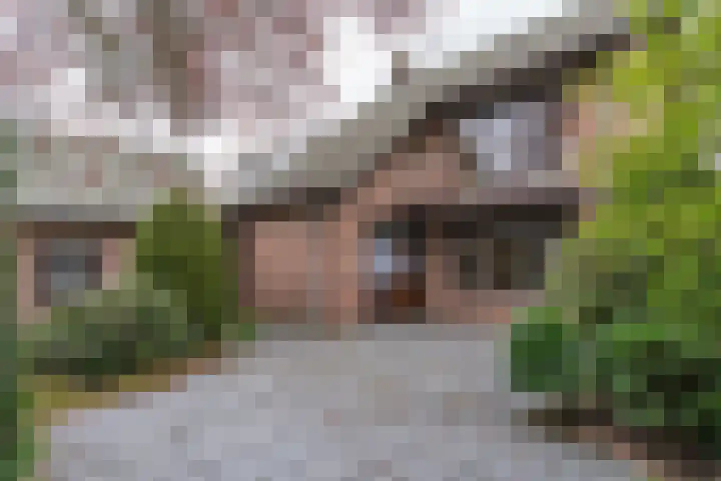 Brouwerstraat 1 Sint-Michielsgestel thumbnail 23
