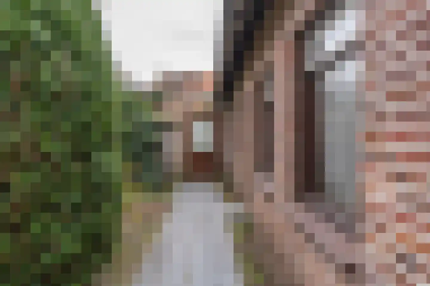 Brouwerstraat 1 Sint-Michielsgestel thumbnail 28