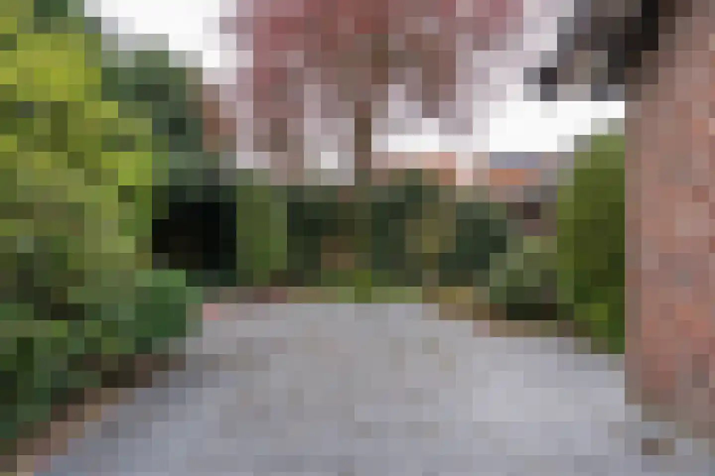 Brouwerstraat 1 Sint-Michielsgestel thumbnail 29