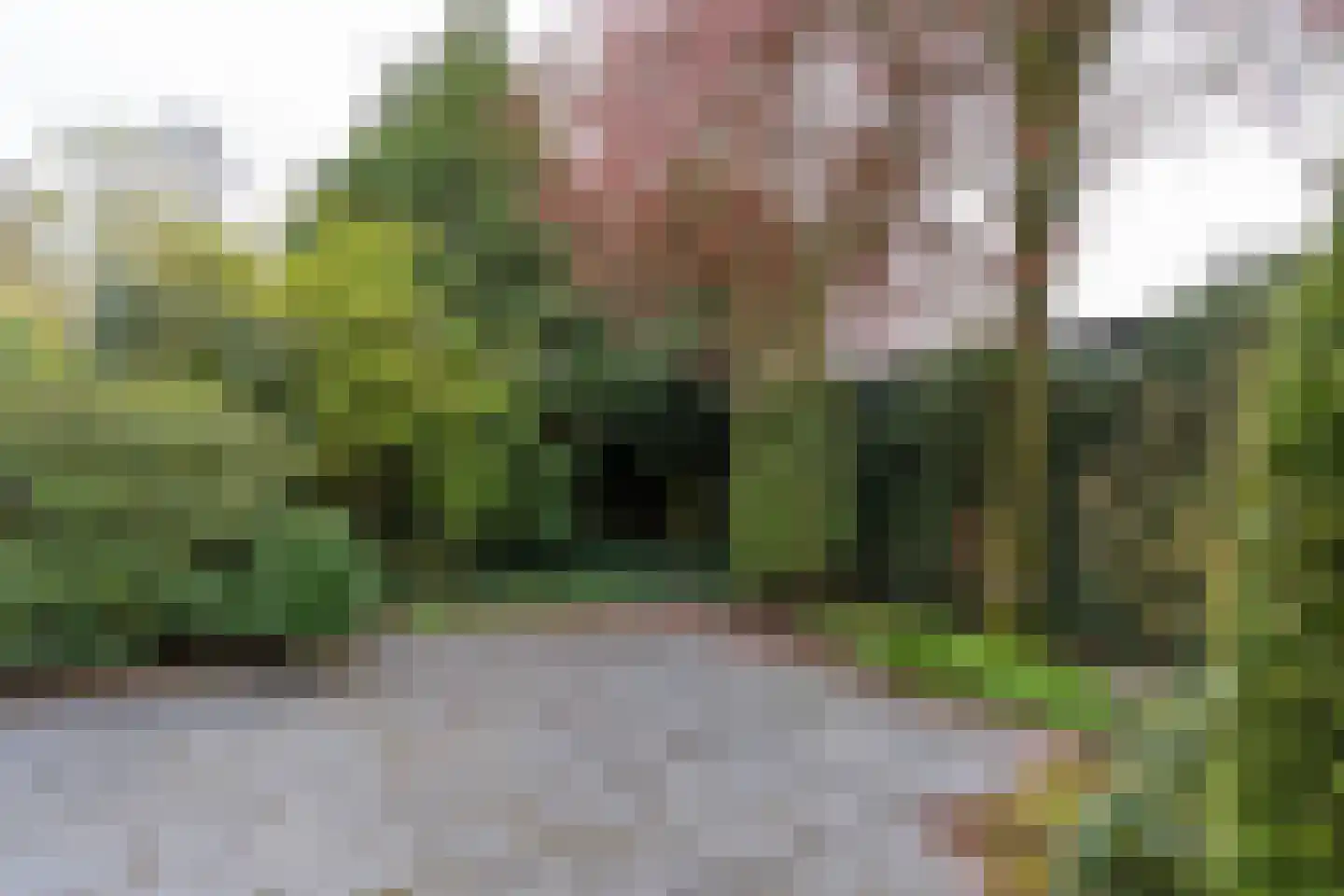 Brouwerstraat 1 Sint-Michielsgestel thumbnail 30