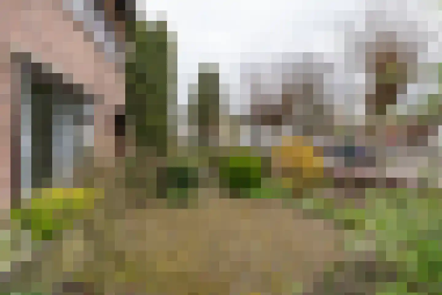 Brouwerstraat 1 Sint-Michielsgestel thumbnail 32