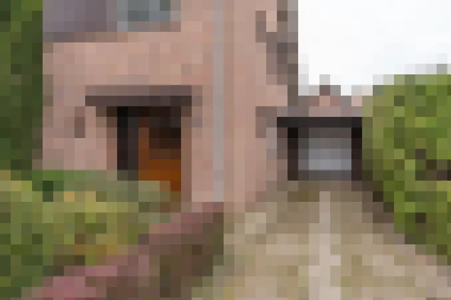 Brouwerstraat 1 Sint-Michielsgestel thumbnail 33