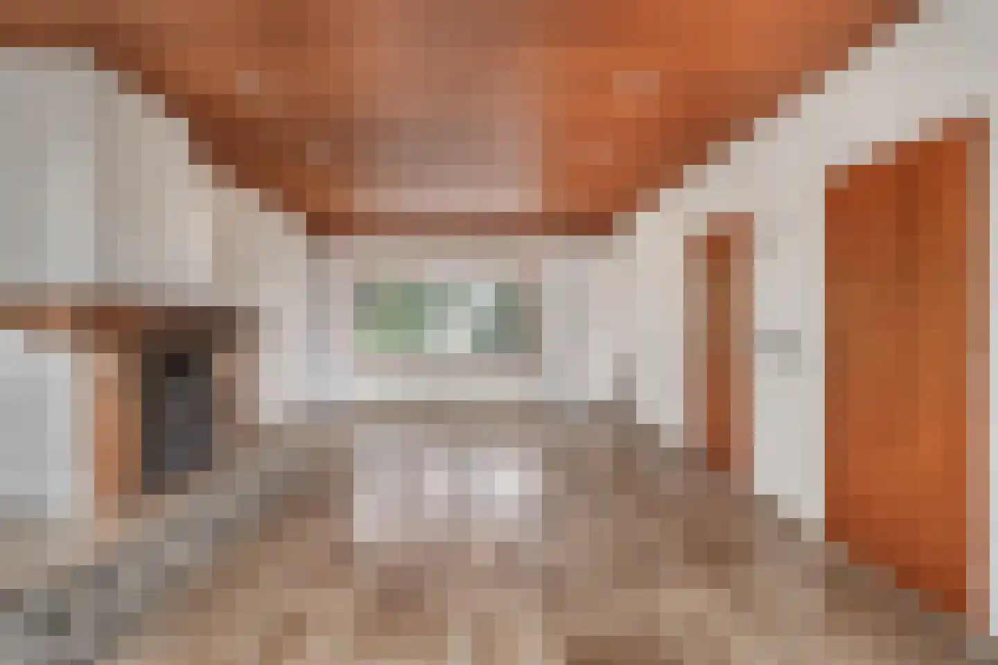 Brouwerstraat 1 Sint-Michielsgestel thumbnail 5