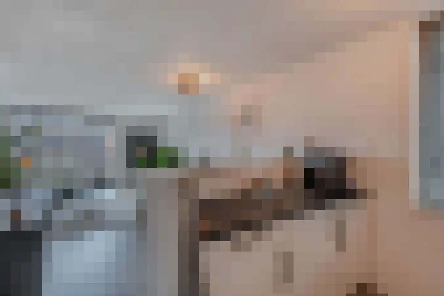 Brouwerstraat 16 Steenwijk thumbnail 17