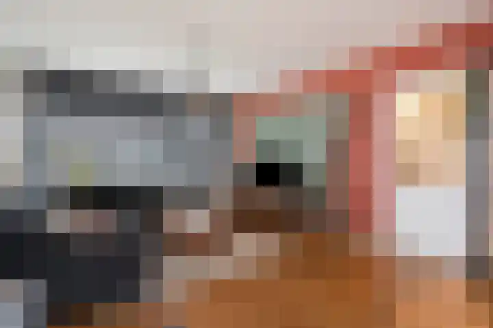 Brouwerstraat 16 Susteren thumbnail 14