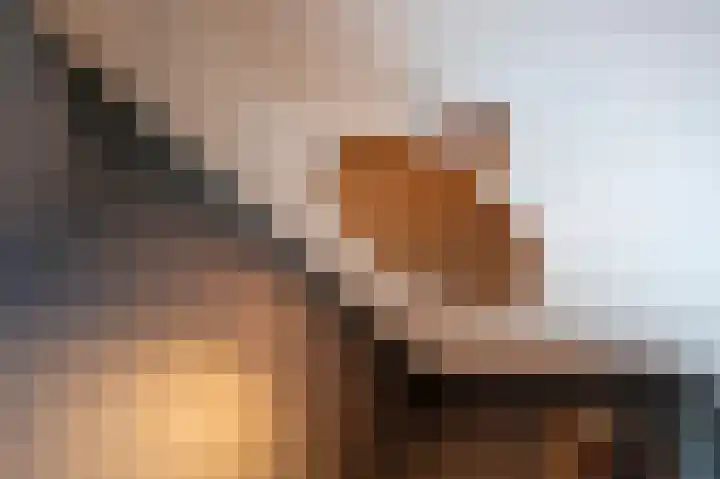Brouwerstraat 16 Susteren thumbnail 35