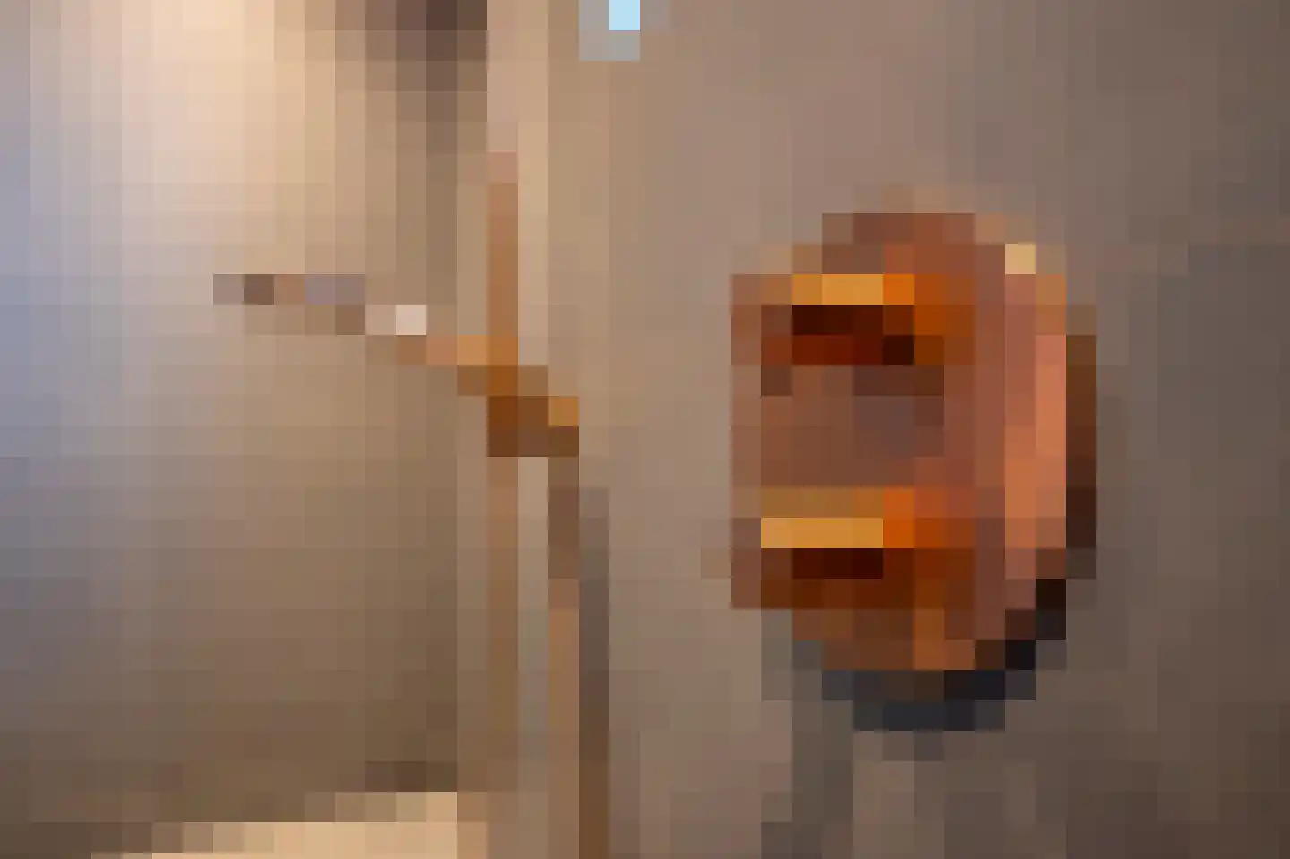 Brouwerstraat 16 Susteren thumbnail 36