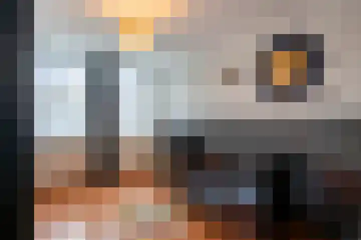 Brouwerstraat 16 Susteren thumbnail 39