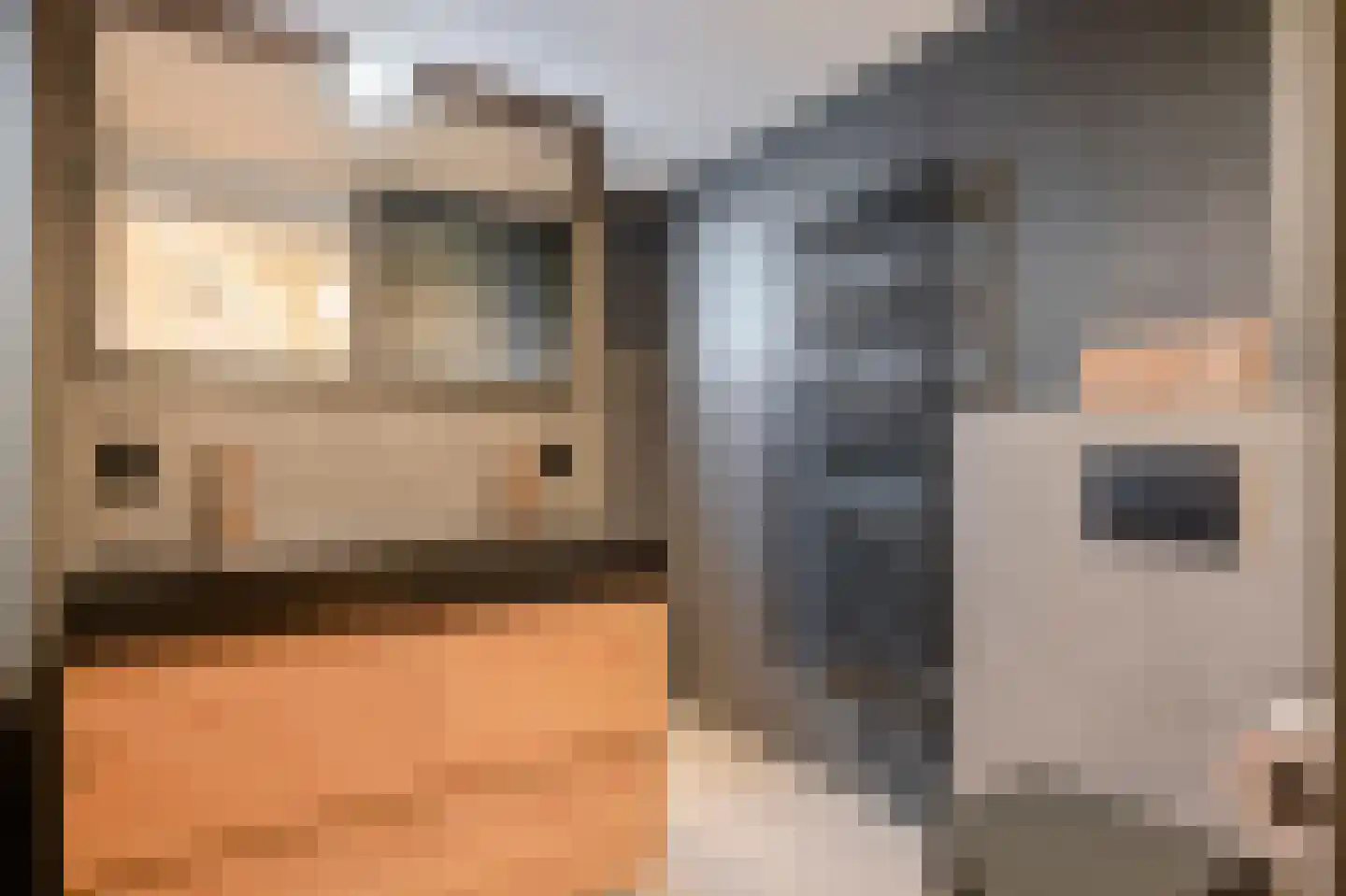 Brouwerstraat 16 Susteren thumbnail 4