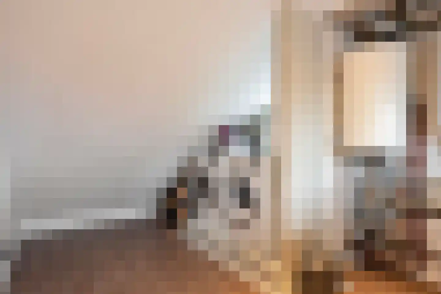 Brouwerstraat 16 Susteren thumbnail 46