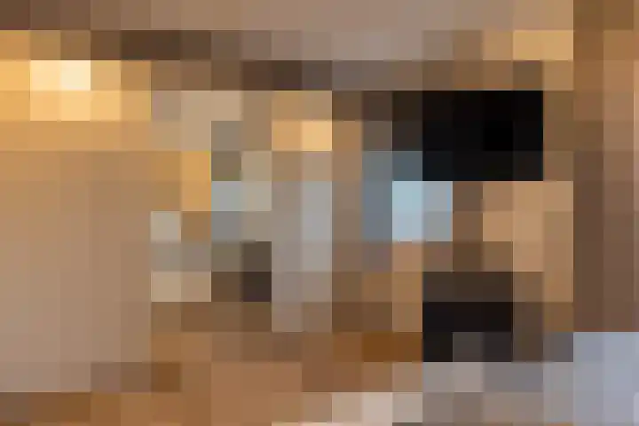 Brouwerstraat 16 Susteren thumbnail 5