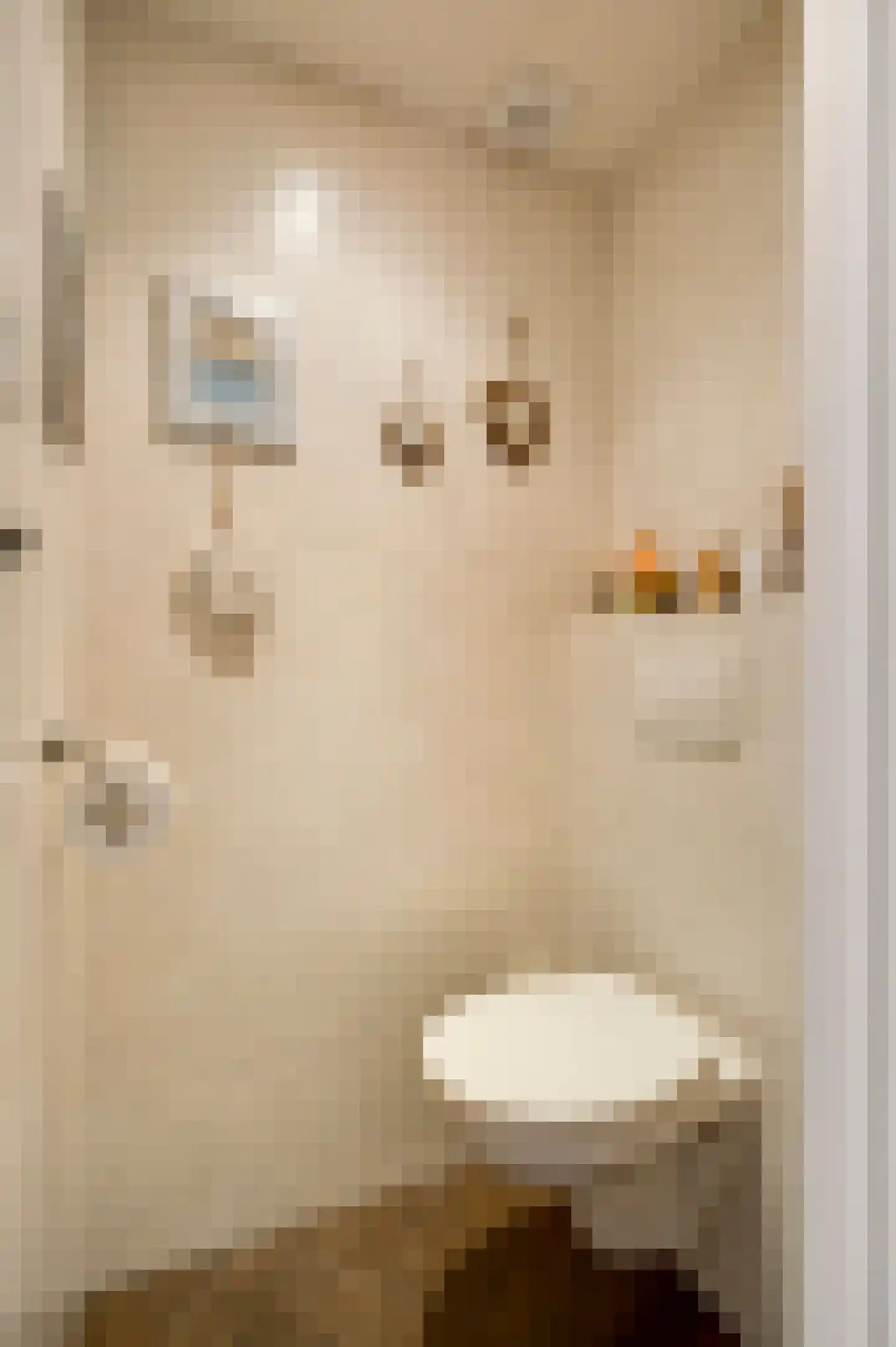 Brouwerstraat 18 Sevenum thumbnail 14