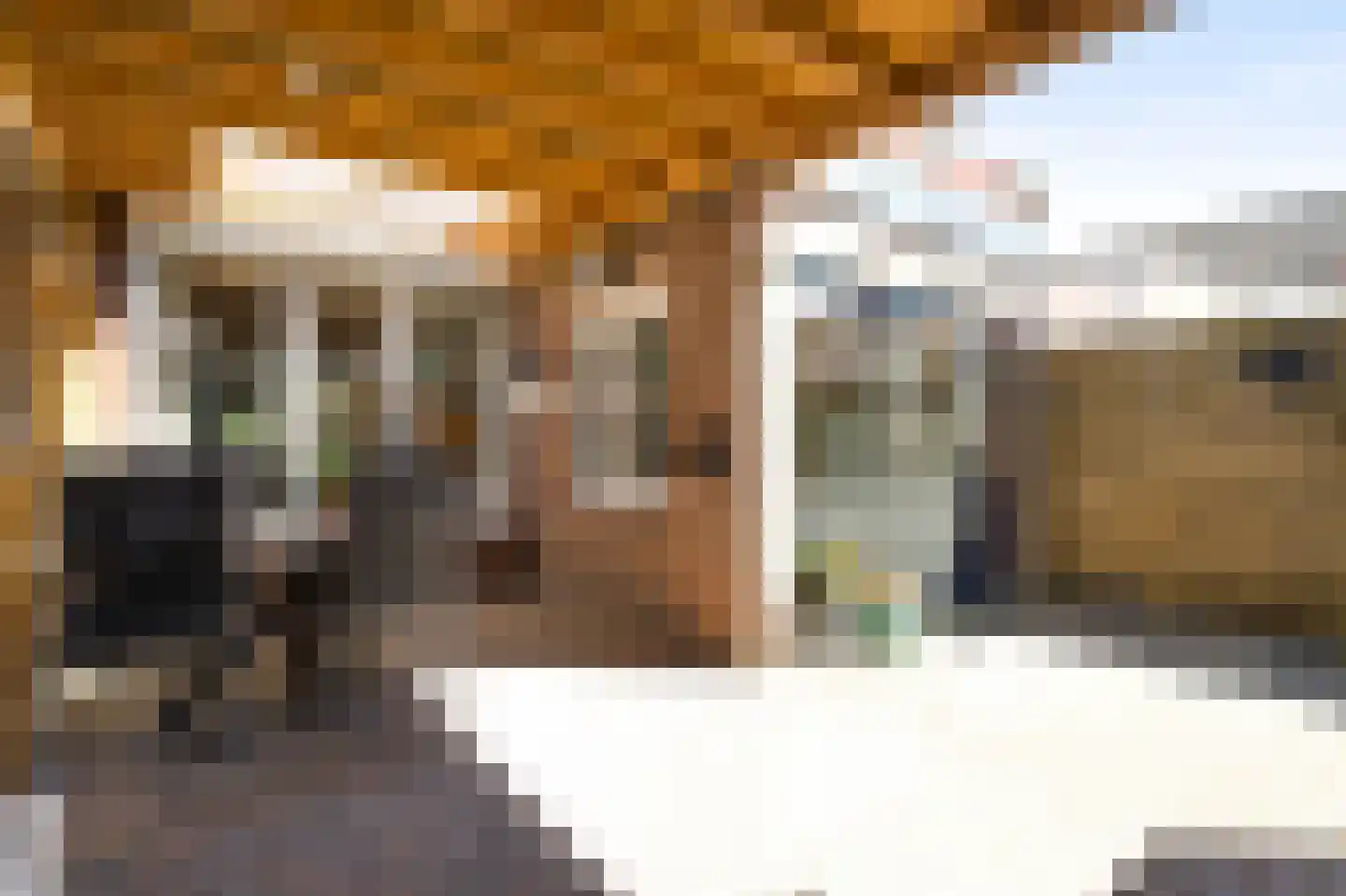 Brouwerstraat 18 Sevenum thumbnail 38
