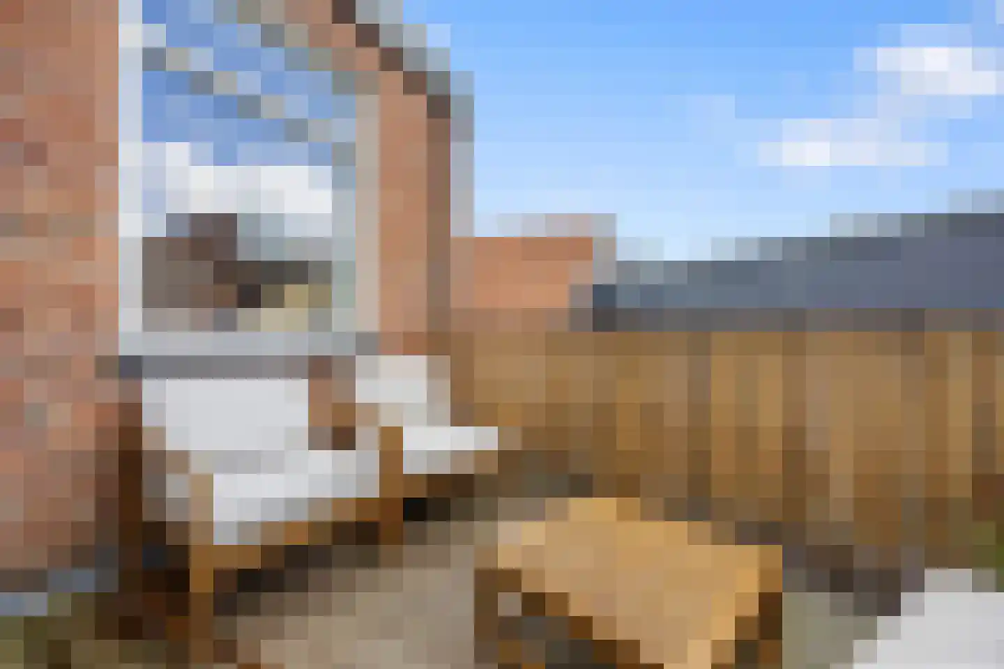 Brouwerstraat 2 D Barneveld thumbnail 15