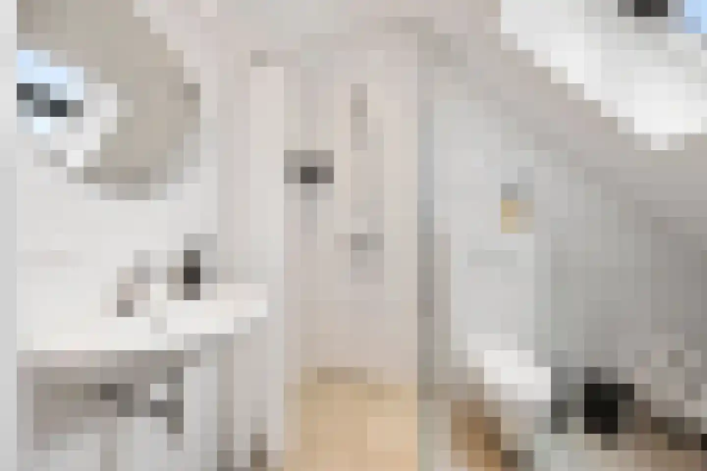 Brouwerstraat 2 D Barneveld thumbnail 18