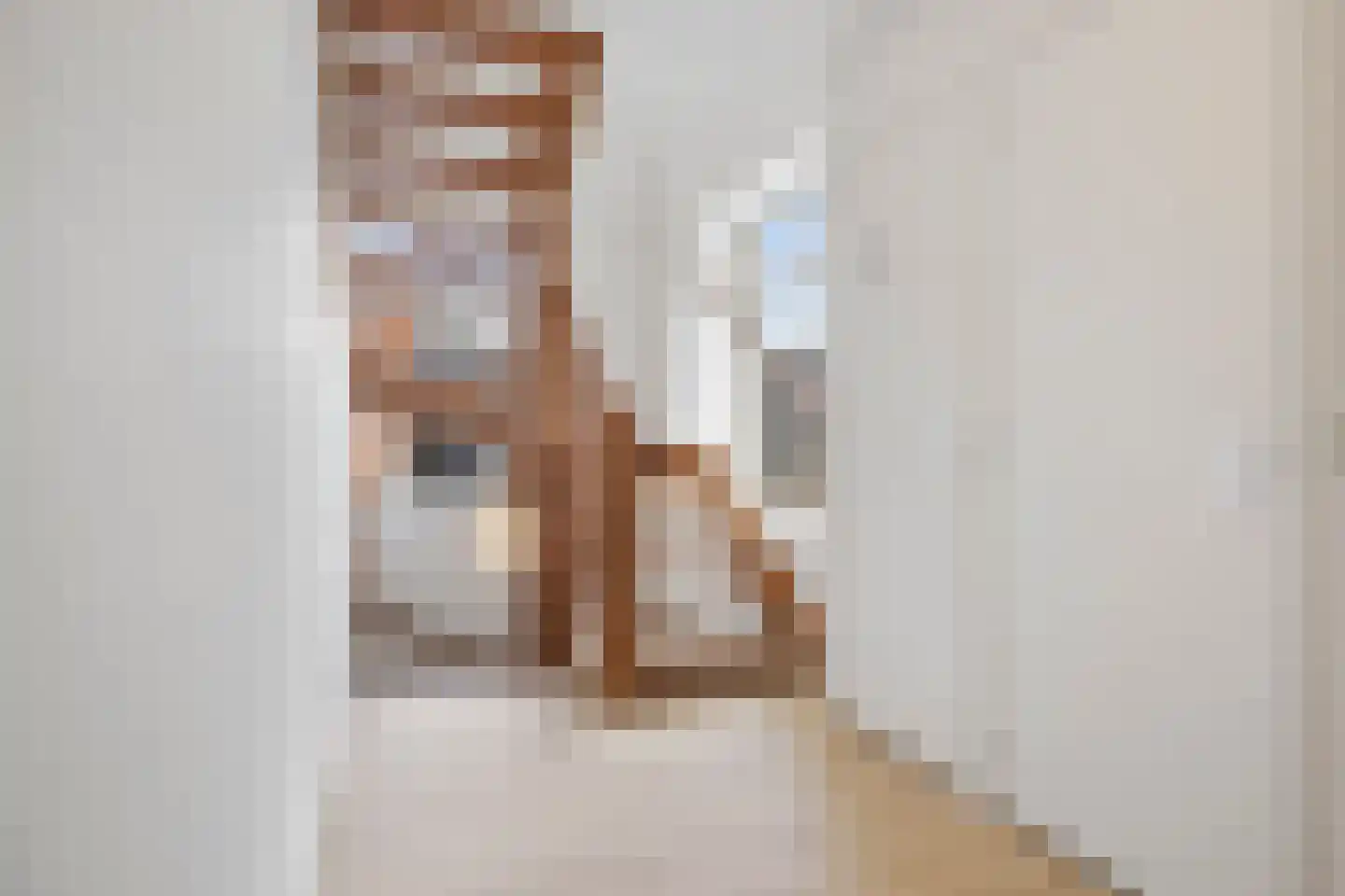 Brouwerstraat 2 D Barneveld thumbnail 7