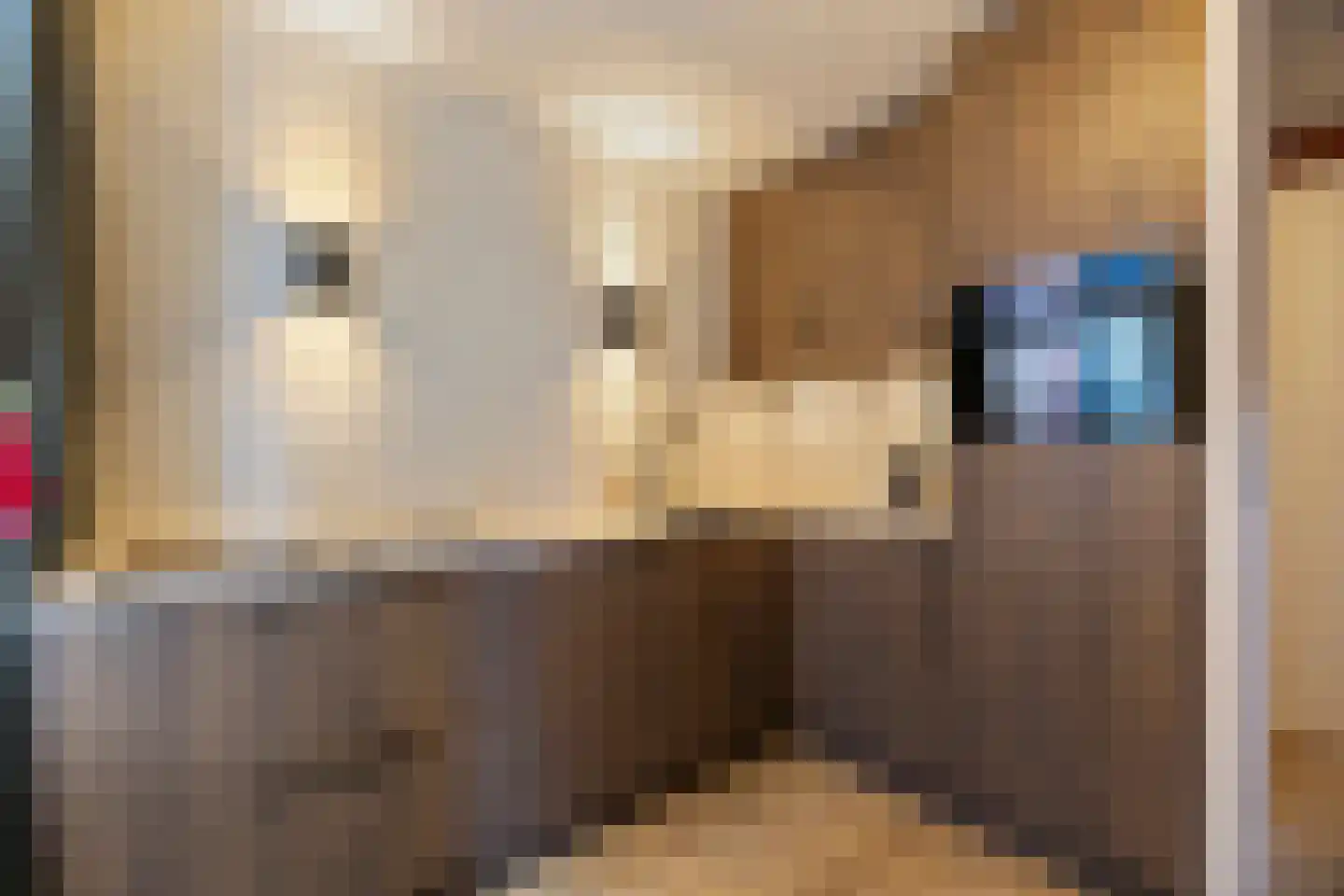 Brouwerstraat 2 D Barneveld thumbnail 9