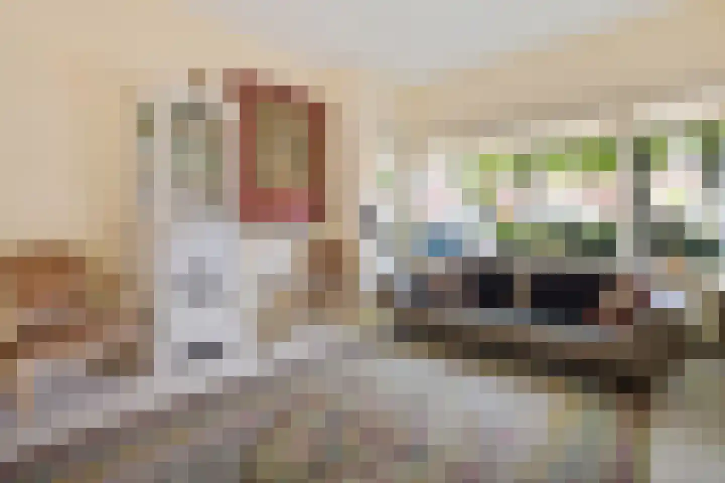 Brouwerstraat 23 Alkmaar thumbnail 11