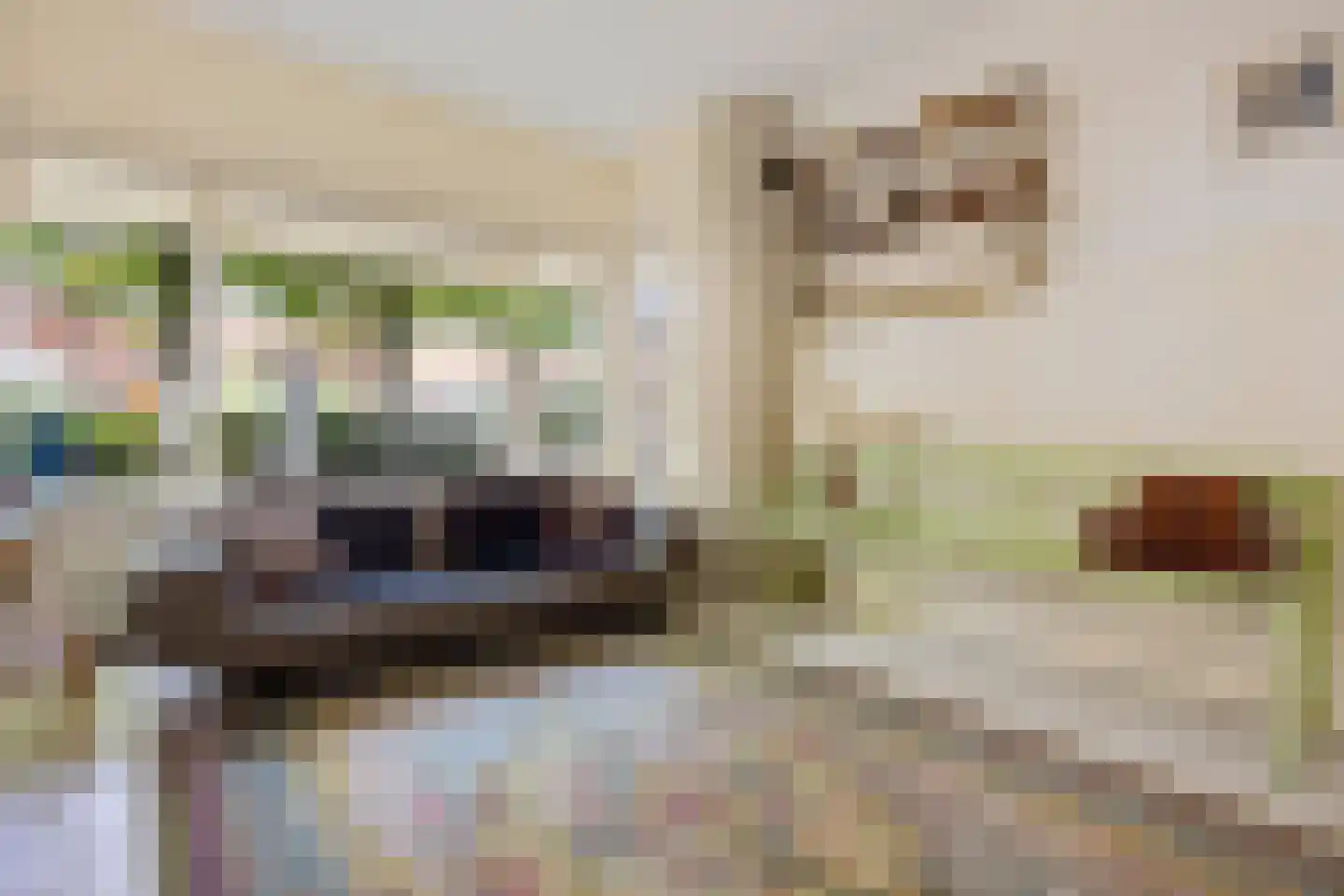 Brouwerstraat 23 Alkmaar thumbnail 13