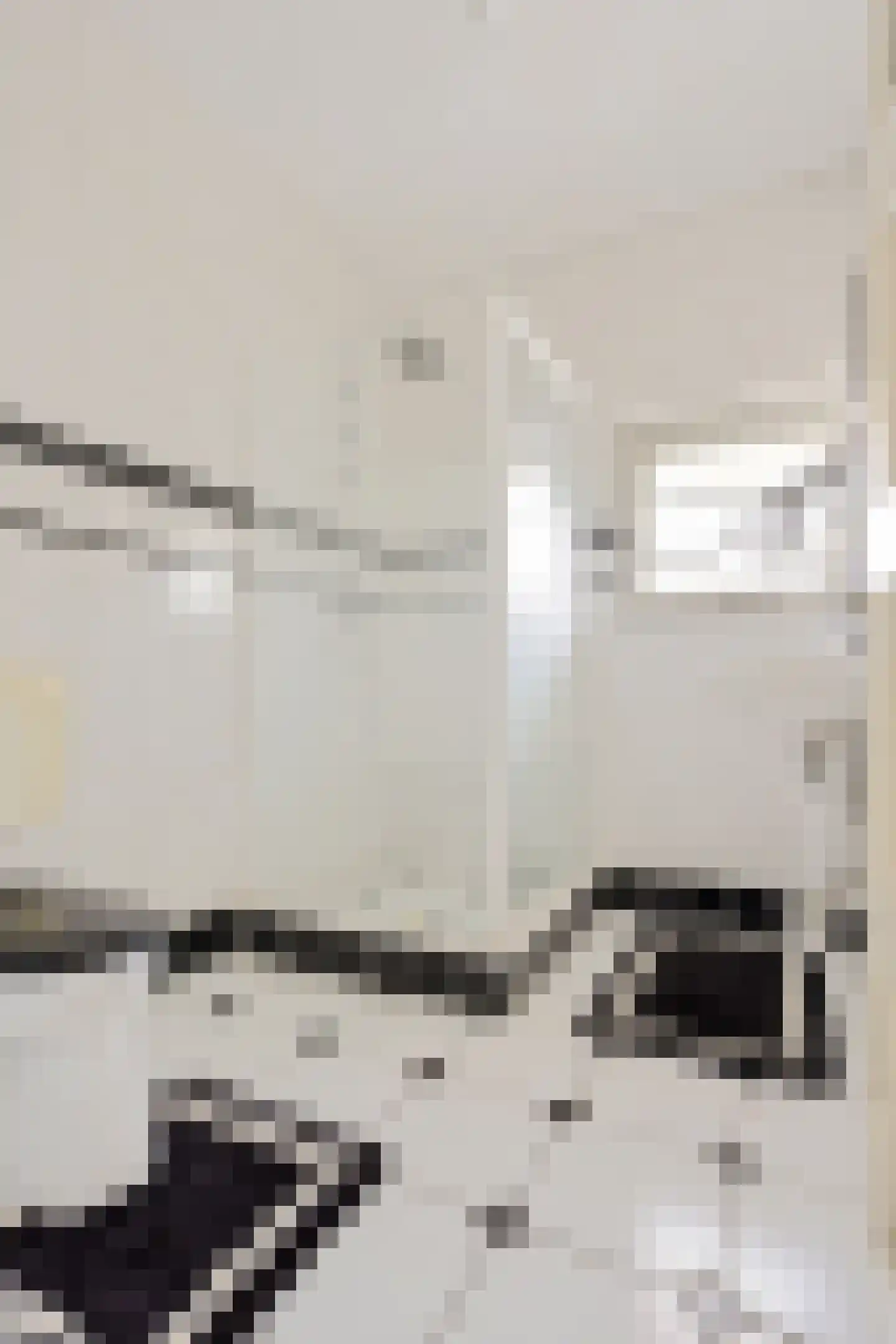 Brouwerstraat 23 Alkmaar thumbnail 25