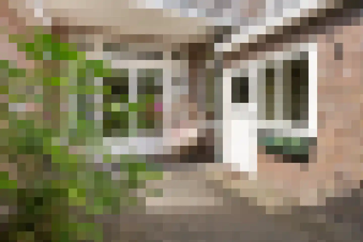 Brouwerstraat 23 Alkmaar thumbnail 38