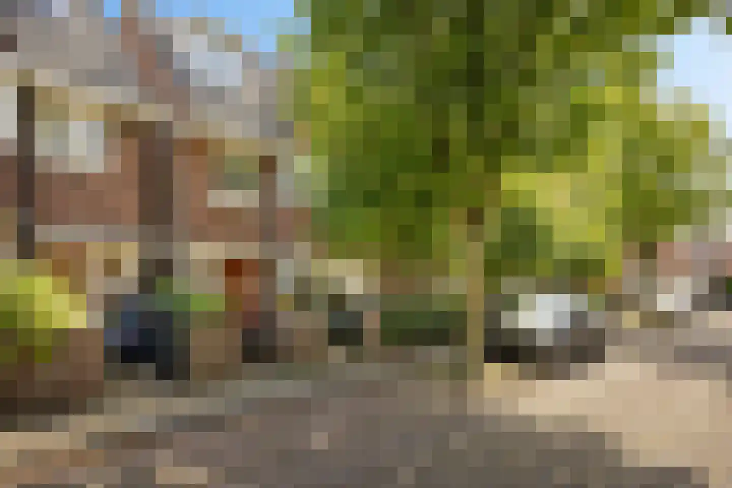 Brouwerstraat 23 Alkmaar thumbnail 42