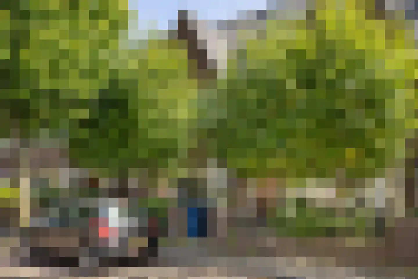 Brouwerstraat 23 Alkmaar thumbnail 43