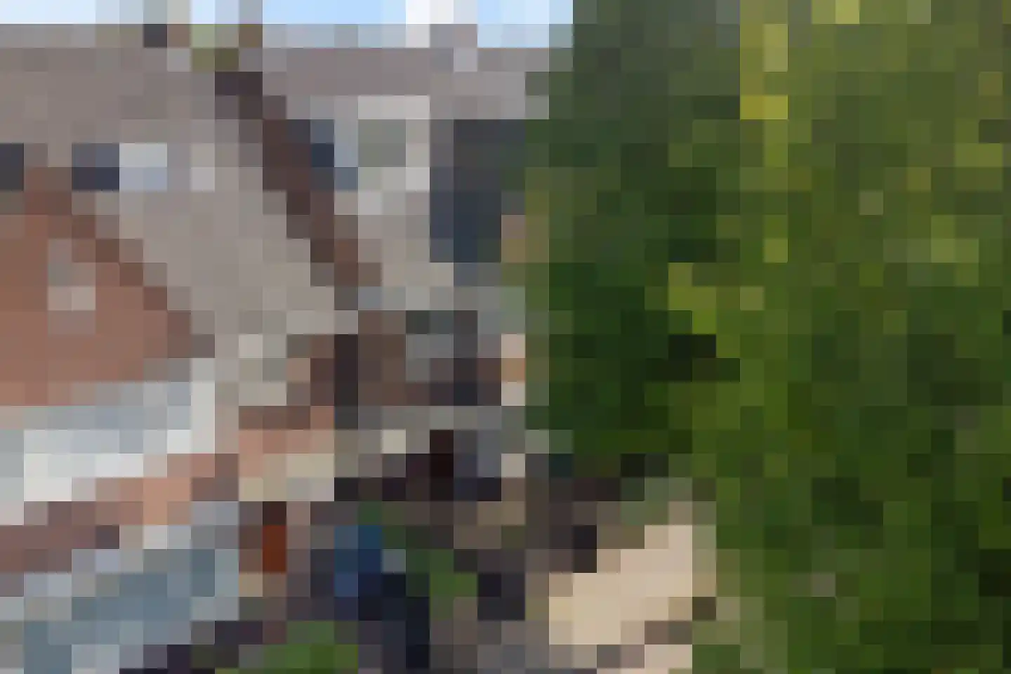 Brouwerstraat 23 Alkmaar thumbnail 47