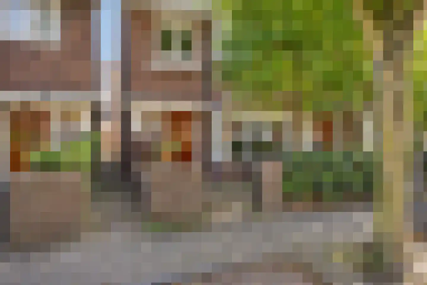 Brouwerstraat 23 Alkmaar thumbnail 7