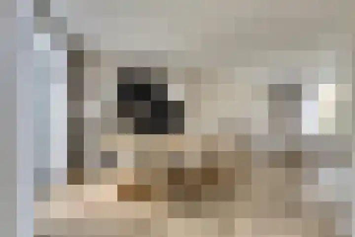 Brouwerstraat 29 Nieuwerkerk thumbnail 8