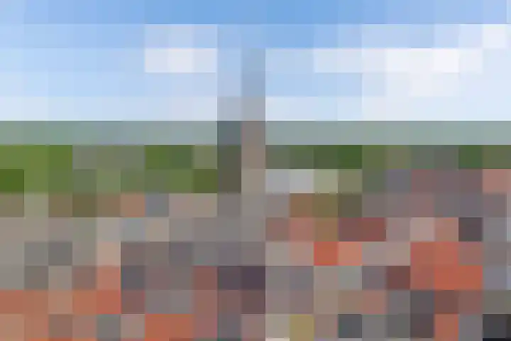 Brouwerstraat 30 Steenwijk