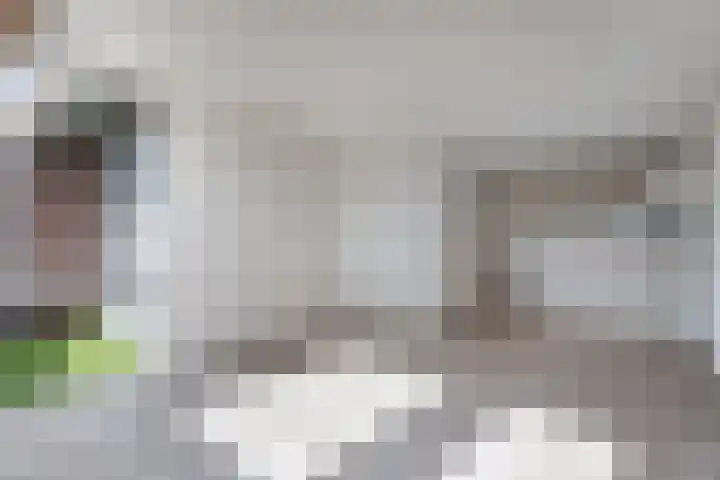 Brouwerstraat 32 Steenwijk thumbnail 8