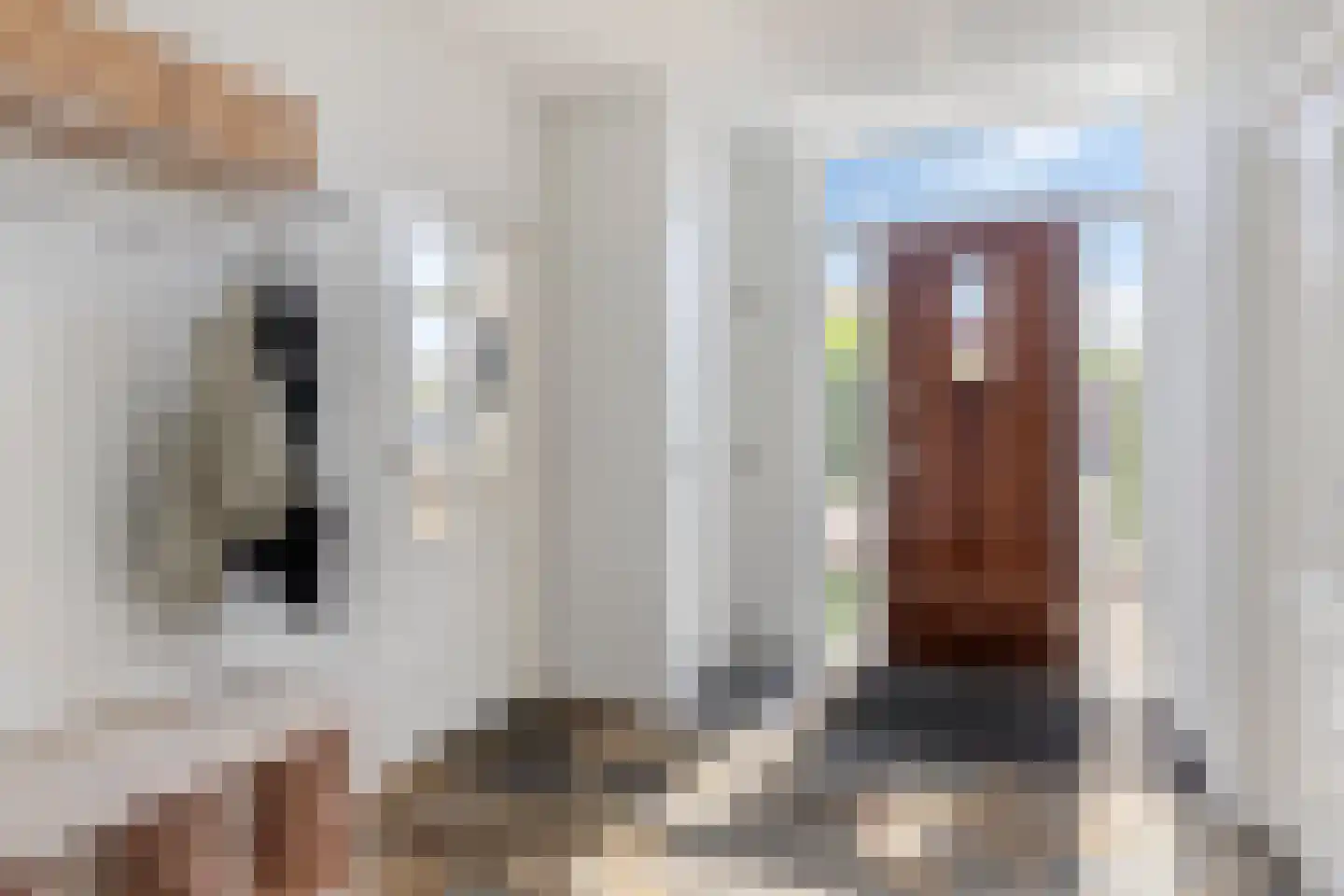 Brouwerstraat 35 Alkmaar thumbnail 10