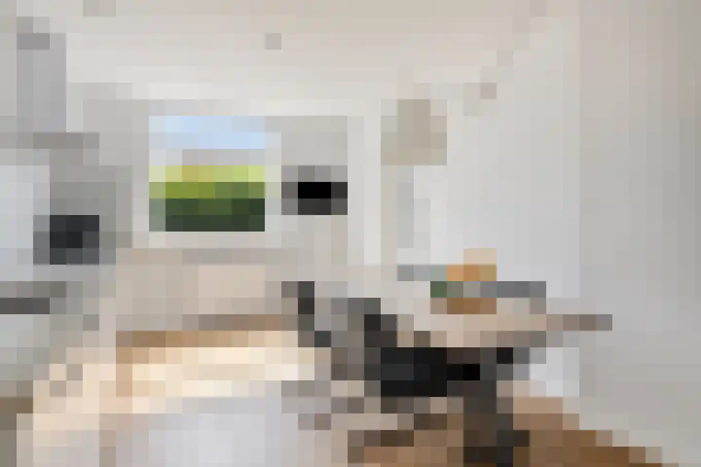 Brouwerstraat 35 Alkmaar thumbnail 16