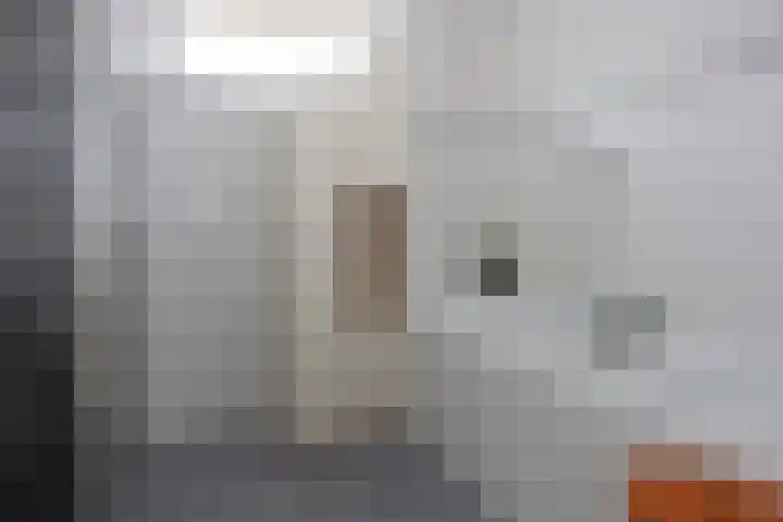 Brouwerstraat 46 Ede thumbnail 22