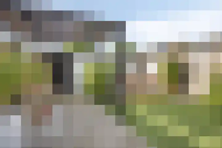 Brouwerstraat 5 Nieuwerkerk thumbnail 4